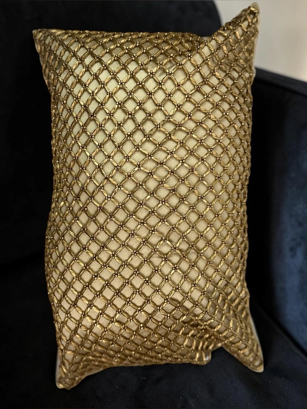 Pier 1 Imports Metallic Beads Gold Lattice Lumbar Pillows Set of 2 12x18